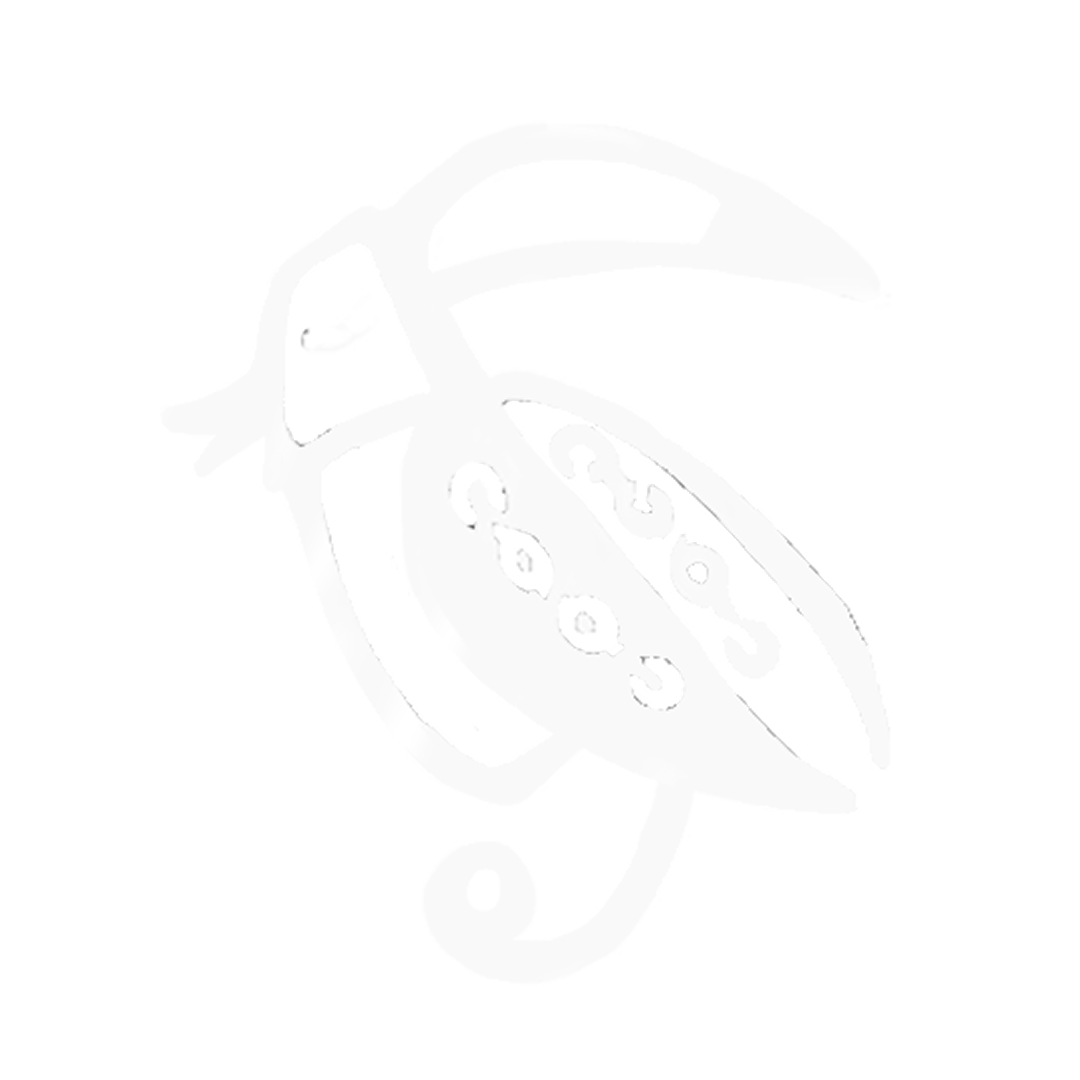 Logo Black Dreams Entertainment